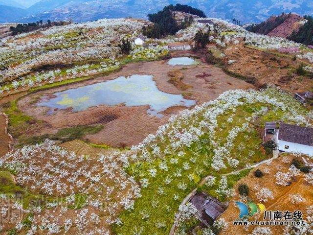 “云”赏泸州丨赤水河畔桃李芬芳，叙永这些地方美翻了！(图3)