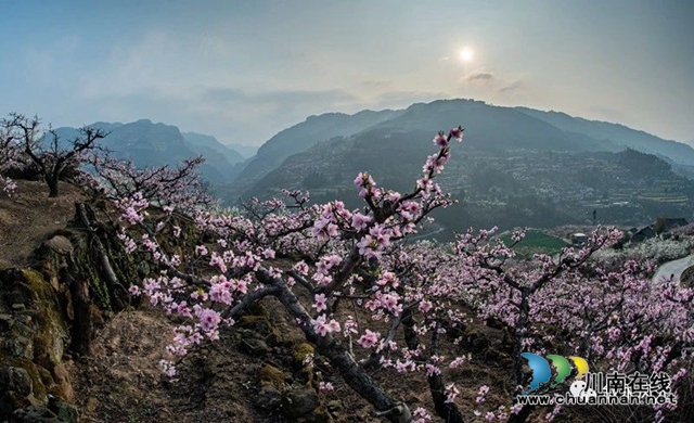 “云”赏泸州丨赤水河畔桃李芬芳，叙永这些地方美翻了！(图9)
