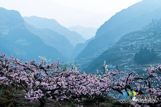 “云”赏泸州丨赤水河畔桃李芬芳，叙永这些地方美翻了！(图12)