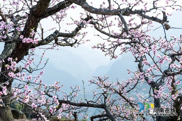 “云”赏泸州丨赤水河畔桃李芬芳，叙永这些地方美翻了！(图6)