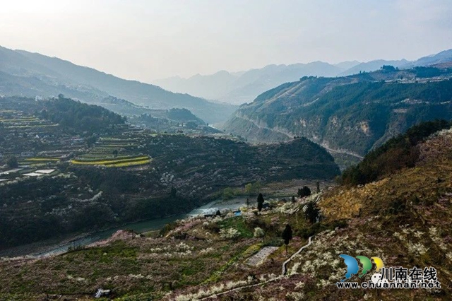 “云”赏泸州丨赤水河畔桃李芬芳，叙永这些地方美翻了！(图20)