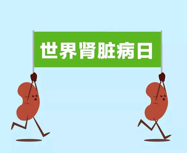 【西南医大中医院•提醒】身体7个小变化,肾出问题了!(图1) 【西南医大中医院•提醒】身体7个小变化,肾出问题了!(图1)