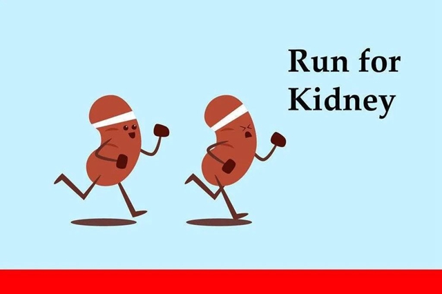 【西南医大中医院•提醒】身体7个小变化,肾出问题了!(图3) 【西南医大中医院•提醒】身体7个小变化,肾出问题了!(图3)