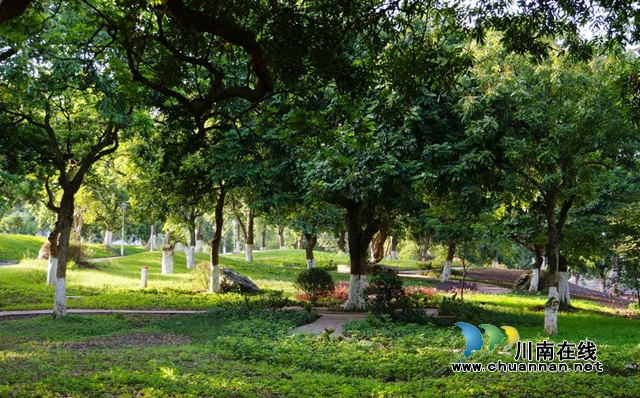 泸州张坝桂圆林景区 游客扫电子社保卡验证身份即可入园(图1)