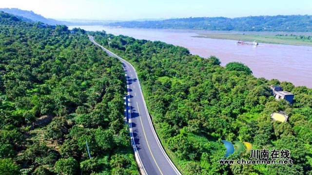 泸州表扬2019年度“三农”工作标兵 快来看名单中有没有你认识的!(图1) 泸州表扬2019年度“三农”工作标兵 快来看名单中有没有你认识的!(图1)