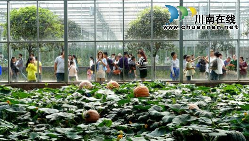 泸州表扬2019年度“三农”工作标兵 快来看名单中有没有你认识的!(图2) 泸州表扬2019年度“三农”工作标兵 快来看名单中有没有你认识的!(图2)