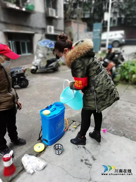 龙马潭区红星街道红星社区居委会主任陈楠：不惧疫情 不负韶华(图2)