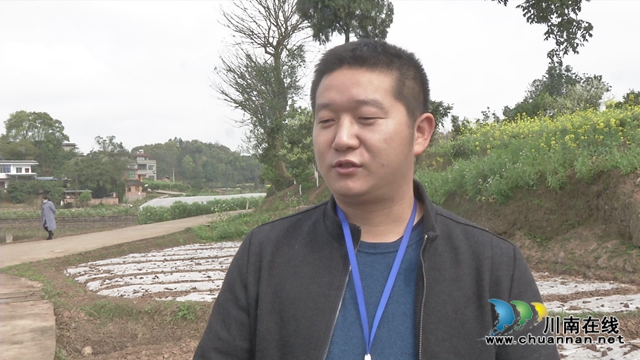 合江县白米镇：特色产业带民富(图2)