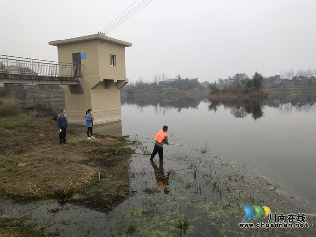 泸县云龙镇:周末卫生大扫除,干净整洁展新貌(图5) 泸县云龙镇:周末卫生大扫除,干净整洁展新貌(图5)