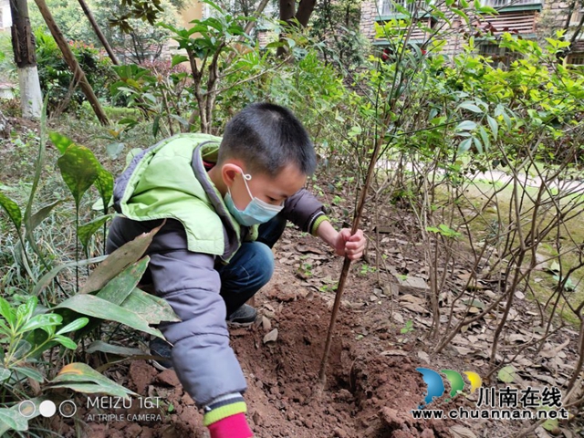 泸县玉蟾街道城北小学校开展2020年春季植树节活动(图2)