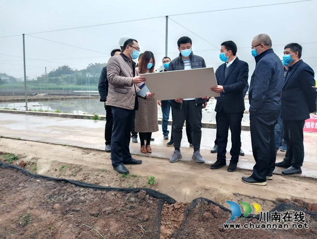 肖刚率队到泸县玉蟾街道督导民生工程建设(图1)