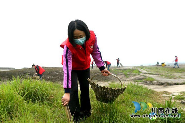 纳溪区万名党员干部职工为家园“清肺”(图2) 纳溪区万名党员干部职工为家园“清肺”(图2)