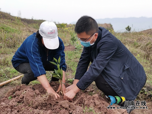 泸县得胜镇:“田坎书记”脱贫路上忙 一心为民谋发展(图1) 泸县得胜镇:“田坎书记”脱贫路上忙 一心为民谋发展(图1)