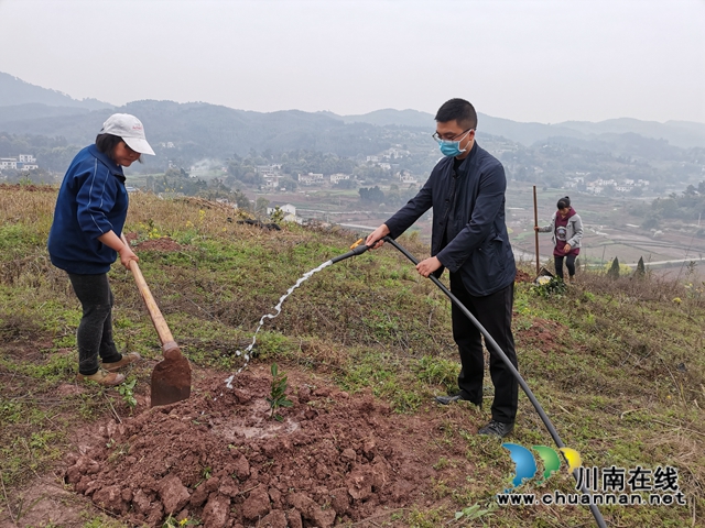 泸县得胜镇:“田坎书记”脱贫路上忙 一心为民谋发展(图4) 泸县得胜镇:“田坎书记”脱贫路上忙 一心为民谋发展(图4)
