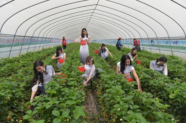 阳光明媚好踏春！内江这些地方有花有景有美食(图8)