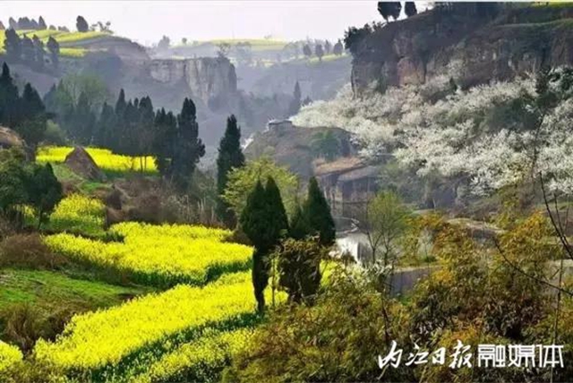 阳光明媚好踏春！内江这些地方有花有景有美食(图24)