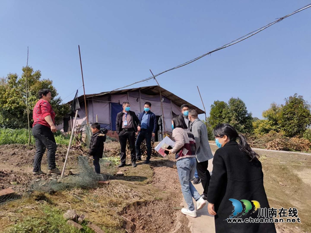 泸县禁毒委第一督查组到立石镇督查禁种铲毒工作(图4)