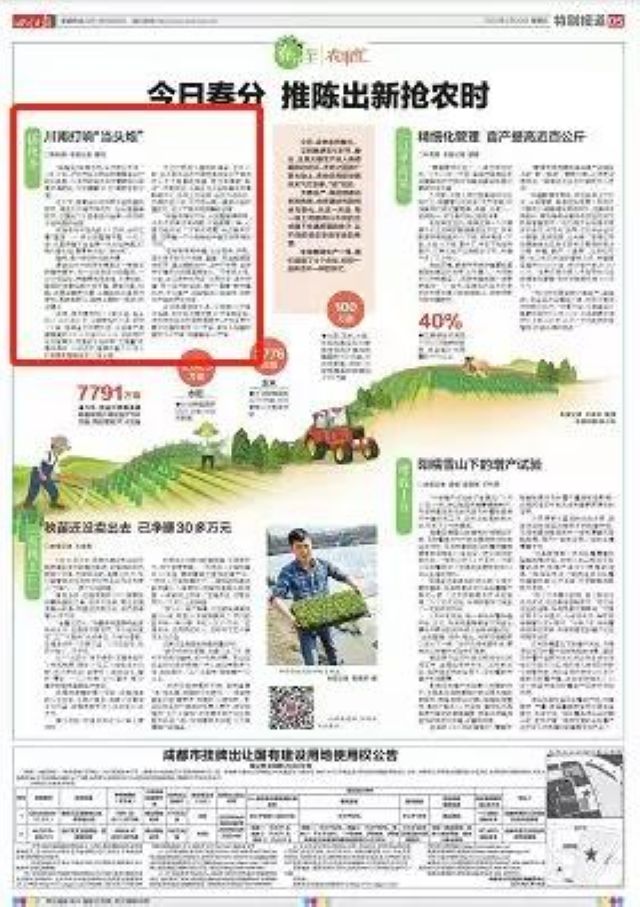合江打响全省水稻插秧“当头炮” 酒城泸州春耕抢农时(图2)