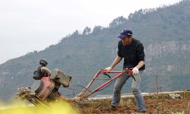 合江打响全省水稻插秧“当头炮” 酒城泸州春耕抢农时(图21)