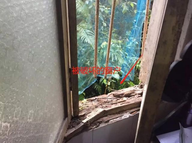 “站到！不要跑！”宜宾屏山街头凌晨抓犯人！抓捕视频太刺激！(图1)