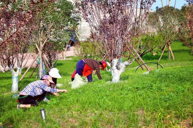 占地约66450平方米！内江这个重点项目预计今年12月完工(图8)