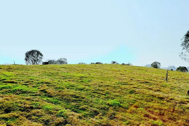 占地约66450平方米！内江这个重点项目预计今年12月完工(图10)