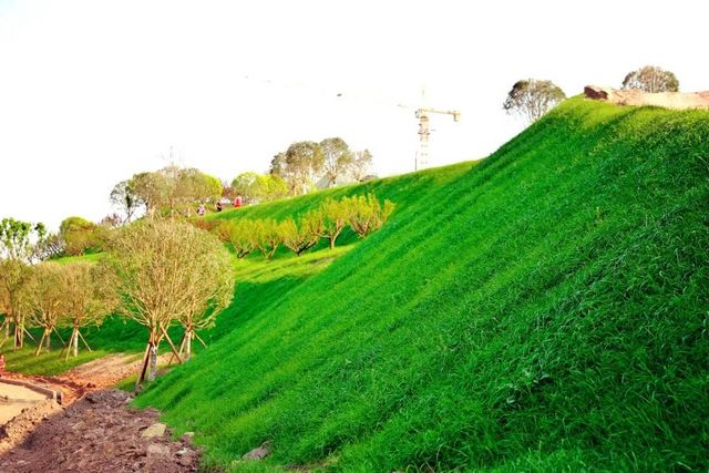 占地约66450平方米！内江这个重点项目预计今年12月完工(图11)