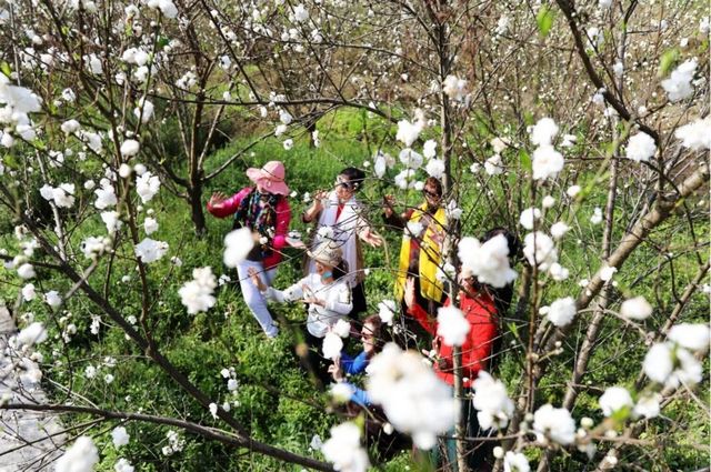泸州的春天，原来是这样……(图8)