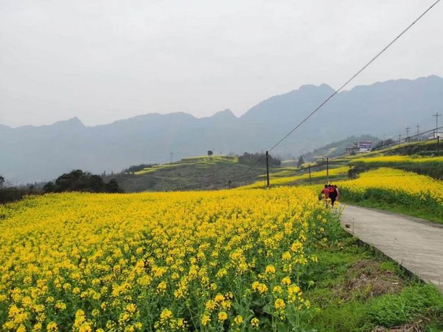 泸州的春天，原来是这样……(图23)