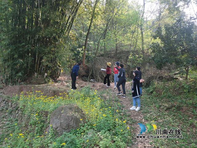 泸州市自然资源和规划局实地督查泸县汛前地灾防治工作(图1)