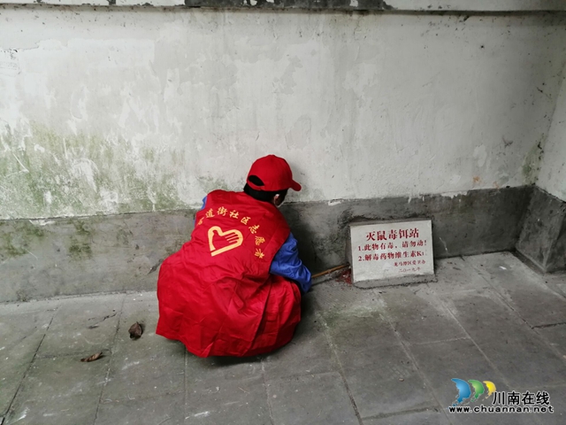 龙马潭区小市街道开展集中投放鼠药工作(图1)