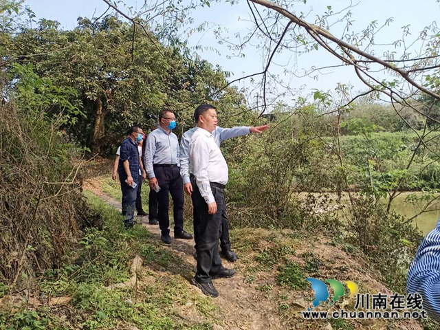 杨双全率队泸县督查小鹿溪河河长制工作(图1)