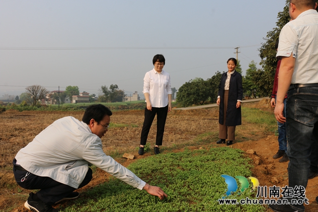 陈佳到泸县潮河镇督导脱贫攻坚工作(图3)