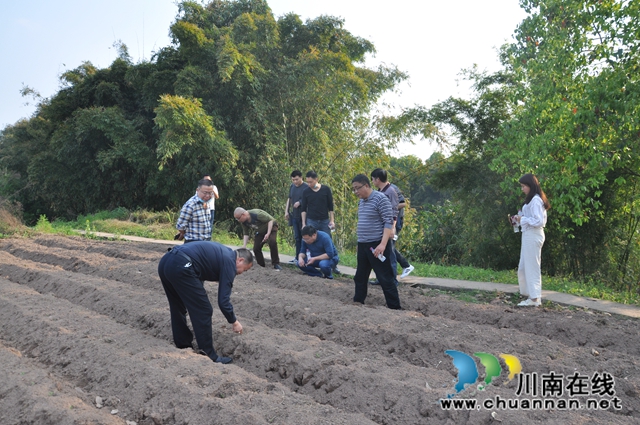 省农科院水稻高粱研究所所长蒋开锋调研泸县春耕生产(图2)