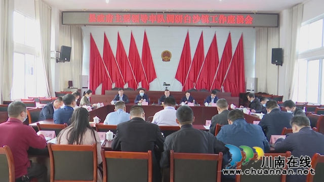 胥兴贵调研合江县白沙镇工作(图1)