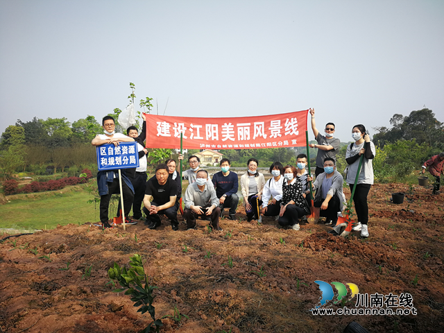 泸州市自然资源和规划局江阳区分局：播种一片新绿，点缀江阳家园(图1)