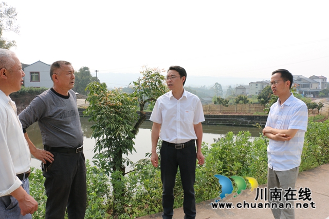 泸县潮河镇开展龙眼产业发展调研(图3)