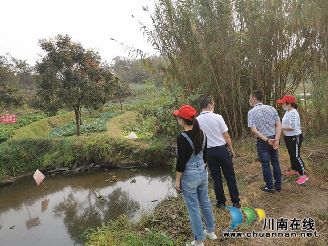 江阳区茜草街道沙坪社区开展汛前涉水安全排查整治工作(图1)