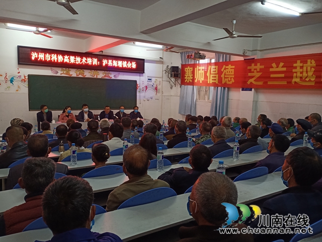 泸州市科协到泸县海潮镇开展高粱技术培训(图2)