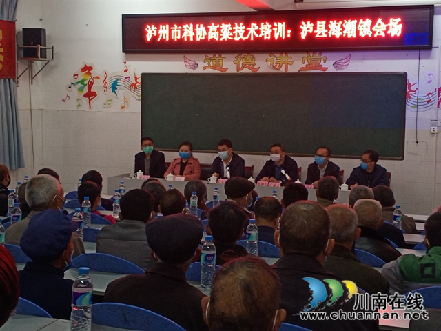 泸州市科协到泸县海潮镇开展高粱技术培训(图1)