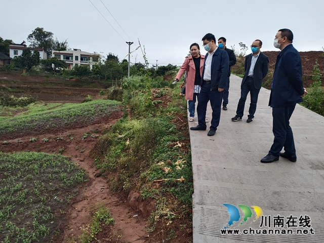 泸州市科协到泸县海潮镇开展高粱技术培训(图4)