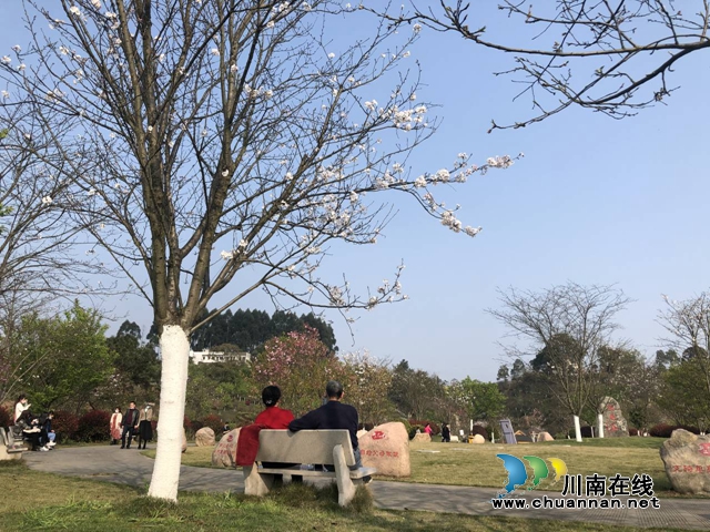 杨霞：赴一场春天的约会(图3)