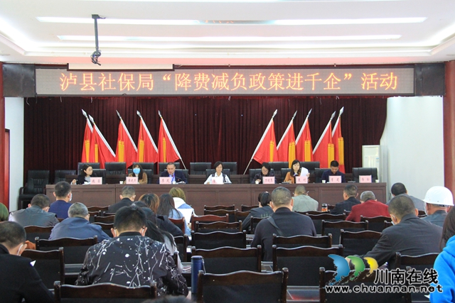 泸县人力资源社会保障局到云龙镇开展“降费减负政策进千企”活动(图1)