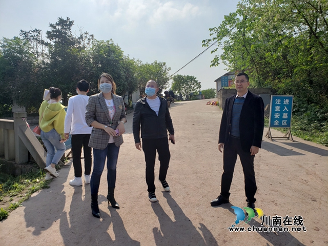 龙马潭区副区长杨勰安排部署大龙山公墓祭扫工作(图1)