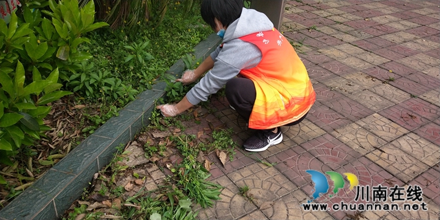 泸县得胜小学党支部开展“我爱我校 党员先行”卫生大扫除活动(图4)