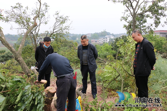 泸县政协主席李镇到潮河镇调研龙眼高换工作(图2)