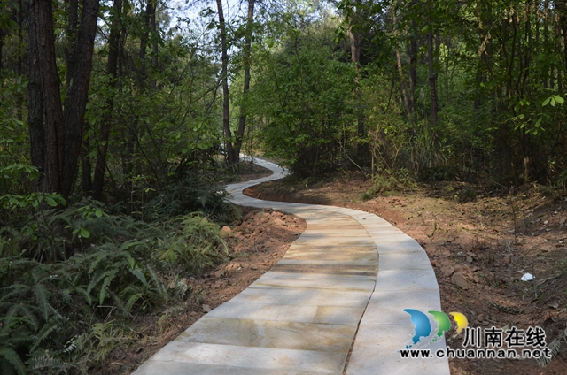 泸县太伏镇：修好门前路  打通致富路(图1)