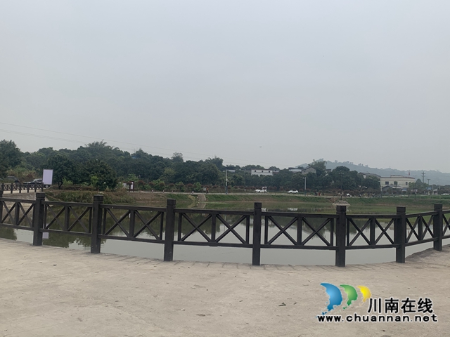 龙马潭区特兴街道桐兴村“三举措” 谱写人居环境整治新篇(图3)