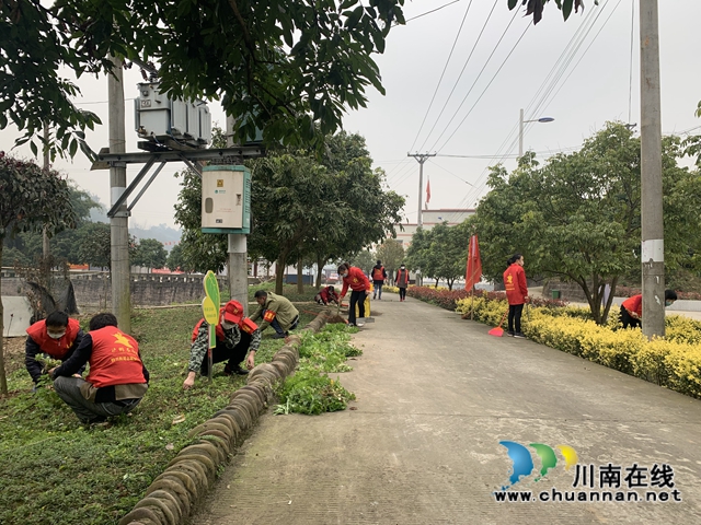 龙马潭区特兴街道桐兴村“三举措” 谱写人居环境整治新篇(图1)