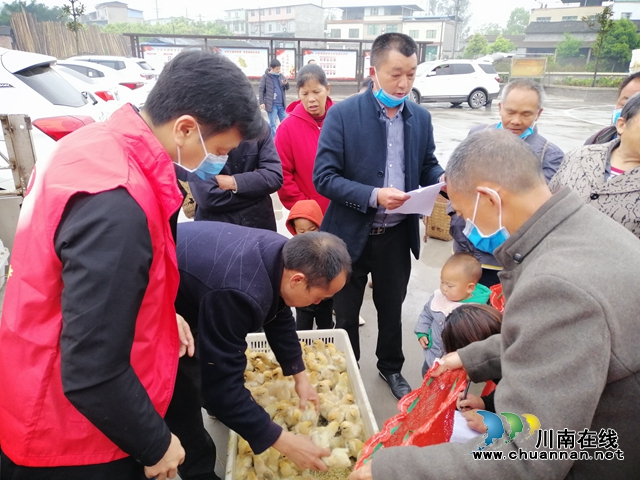泸县市场监督管理局:精准帮扶 家禽、养殖技术送到家(图1) 泸县市场监督管理局:精准帮扶 家禽、养殖技术送到家(图1)